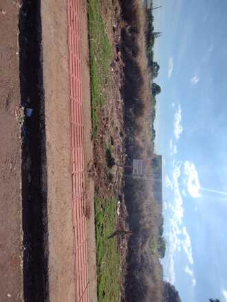 IMG-20250508-WA0005.jpg